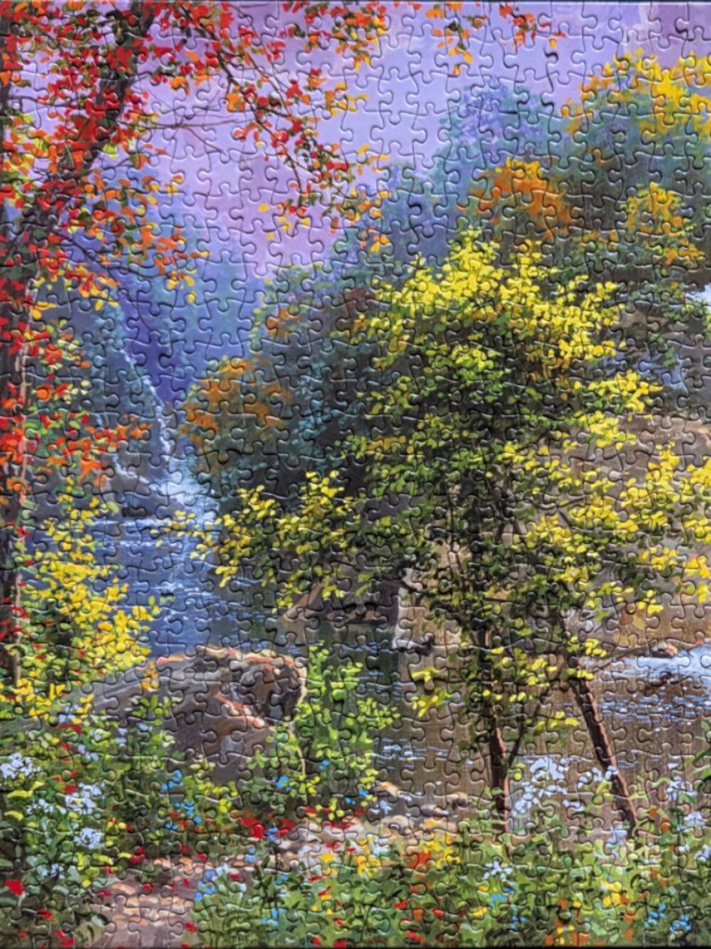 Discovering nature, 1000 piece puzzle, The Canadian Group, Sure-Lox